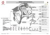 1 X BOER GOAT DOE F2 Boerbokstoet - 3