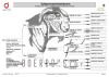 1 X BOER GOAT DOE F2 Boerbokstoet - 3