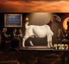 1 X BOER GOAT STUD PREGNANT DOE Karoo Livestock Studs