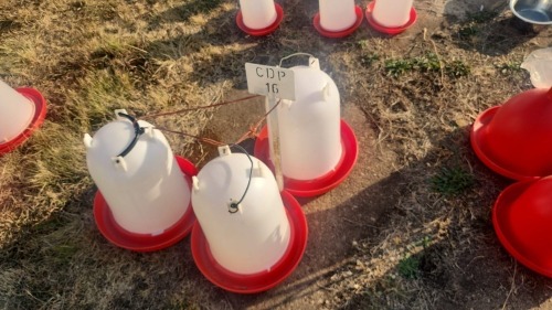 1 X 12L CHICKEN DRINKER Kluyts Livestock Farming