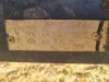1 X CATTLE TRAILER Wilmeg - 4