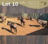 5 X BLOUWILDEBEES - BLUE WILDEBEEST M:5 (Betaal per dier/Pay per animal)