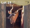 1 X KOEDOE - KUDU M:1