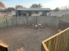 6 X BLESBOK - BLESBUCK M:6 (Betaal per dier/Pay per animal) - 3
