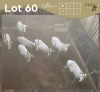 7 X WITBLESBOK - WHITE BLESBUCK V/F:7 (Betaal per dier/Pay per animal)