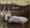 1 X NJALA - NYALA M:1