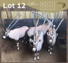 4 X GEMSBOK - ORYX M:4 (Betaal per dier/Pay per animal)