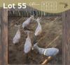 5 X WITBLESBOK - WHITE BLESBUCK V/F:5 (Betaal per dier/Pay per animal)