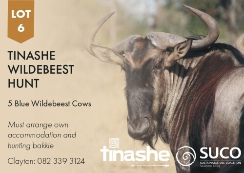 1 X TINASHE WILDEBEEST HUNT Tinashe