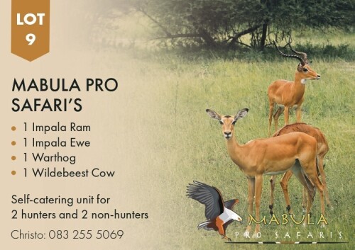 1 X MABULA PRO SAFARI'S Mabula Pro Safaris