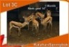 1x KALAHARI SPRINGBOK/SPRINGBUCK M:1