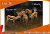 1x KALAHARI SPRINGBOK/SPRINGBUCK M:1