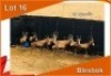 10x BLESBOK/BLESBUCK M:10 (Per stuk om lot te neem)