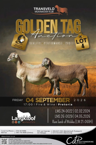 1+1 X MEATMASTER RECORDED EWE LANGKLOOF GAME FARM
