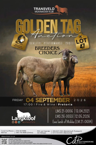 1+1 X MEATMASTER RECORDED EWE LANGKLOOF GAME FARM