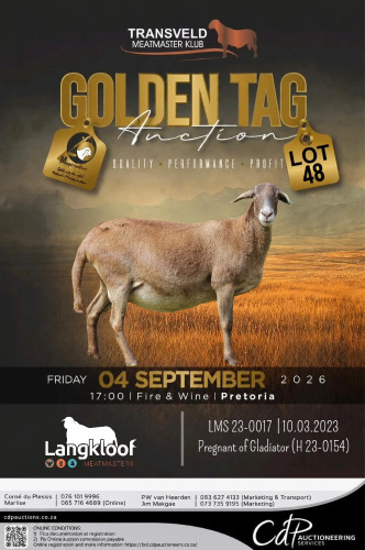 1 X MEATMASTER RECORDED EWE LANGKLOOF GAME FARM