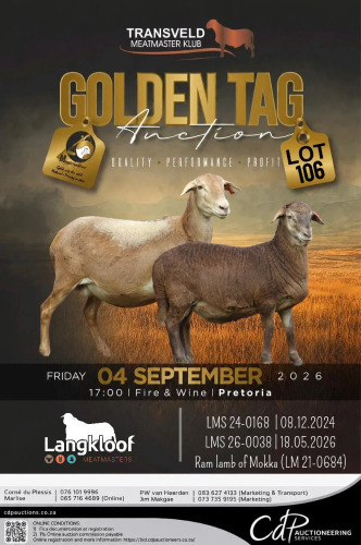 1+1 X MEATMASTER RECORDED EWE LANGKLOOF GAME FARM