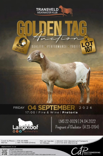 1 X MEATMASTER RECORDED EWE LANGKLOOF GAME FARM