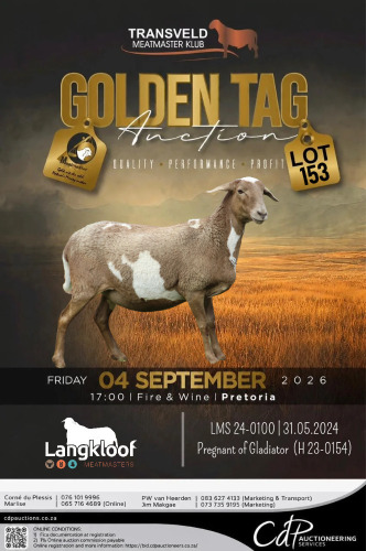 1 X MEATMASTER RECORDED EWE LANGKLOOF GAME FARM