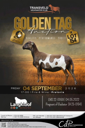 1 X MEATMASTER RECORDED EWE LANGKLOOF GAME FARM
