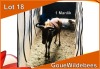 1x GOUE WILDEBEES/GOLDEN WILDEBEEST M:1