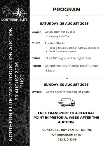 AUCTION PROGRAM