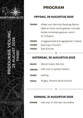 AUCTION PROGRAM