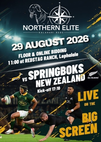 BIG SCREEN RUGBY