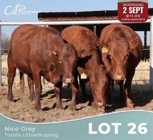 3 X BONSMARA VERSE (Per animal to take the lot)