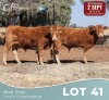 1 X LIMOUSINE BUL Nico Grey