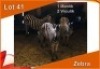 3x SEBRA/ZEBRA M:1 V/F:2 (Per stuk om lot te neem)