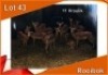 11x ROOIBOK/IMPALA V/F:11 (Per stuk om lot te neem)