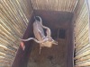 1 X KOEDOE - KUDU M:1 MULATI - 4