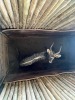 1 X NJALA - NYALA M:1 MULATI - 4