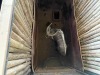 1 X NJALA - NYALA M:1 MULATI - 5