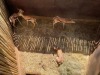 3 X SPRINGBOK - SPRINGBUCK V/F:3 MULATI (Betaal per dier/Pay per animal) - 2
