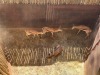 3 X SPRINGBOK - SPRINGBUCK V/F:3 MULATI (Betaal per dier/Pay per animal) - 4