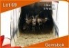 8x GEMSBOK/ORYX M:3 V/F:5 (Per stuk om lot te neem)