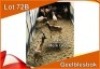 4x GEEL BLESBOK/YELLOW BLESBUCK V/F:4 Merk Geel(Per stuk om lot te neem)