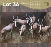 6 X BLESBOK - BLESBUCK V/F:6 MULATI (Betaal per dier/Pay per animal)