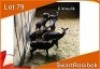 6x SWART ROOIBOK/BLACK IMPALA V/F:6 (Per stuk om lot te neem)