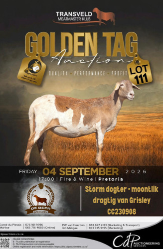 1 X MEATMASTER RECORDED EWE DE BEER BOERDERY