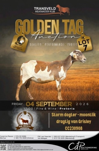 1 X MEATMASTER RECORDED EWE DE BEER BOERDERY