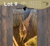 1 X KAMEELPERD - GIRAFFE M:1 SABLE RANCH (Betaal per dier/Pay per animal)