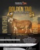 LOT 33 1 X MEATMASTER RECORDED GRADED RAM KROON MEATMASTERS - 2