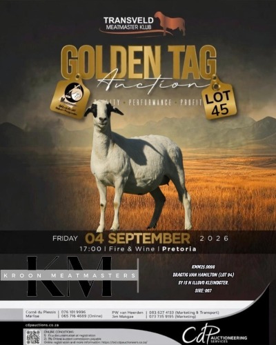 1 X MEATMASTER RECORDED EWE KROON MEATMASTERS