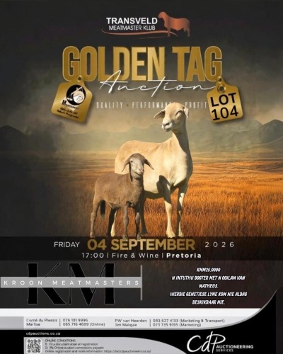 1 X MEATMASTER RECORDED EWE KROON MEATMASTERS