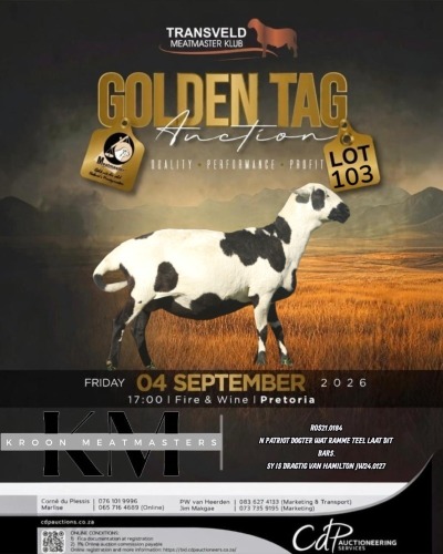 1 X MEATMASTER RECORDED EWE KROON MEATMASTERS