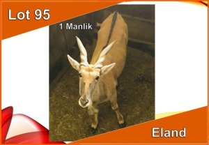 1x ELAND M:1