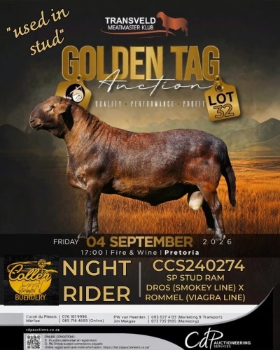 1 X MEATMASTER RECORDED RAM COLLEN BOERDERY